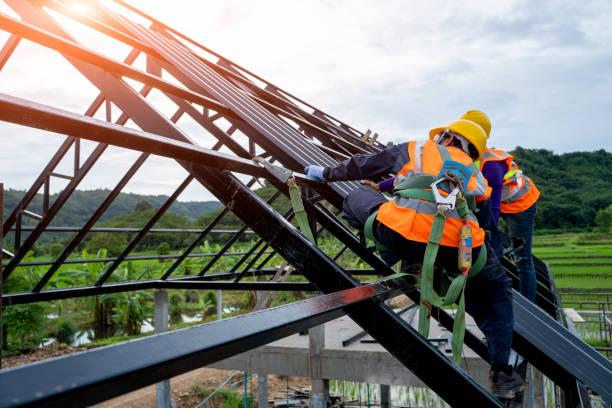 Best Storm Damage Roof Repair  in Christiana, TN